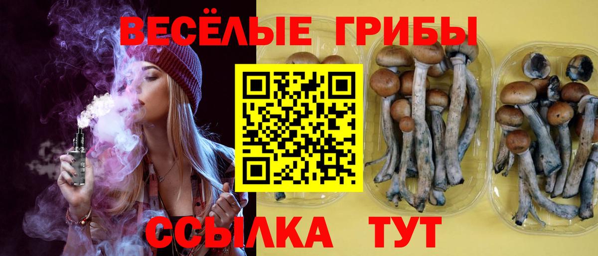 Норильск  Псилоцибиновые грибы Cubensis  Галлюциногенные грибы мицелий  Вход с VPN 